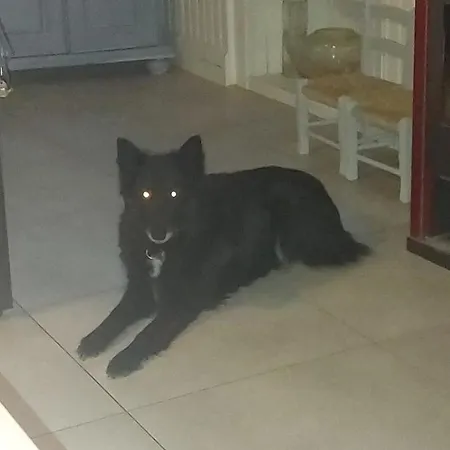 D Iska Konukevi